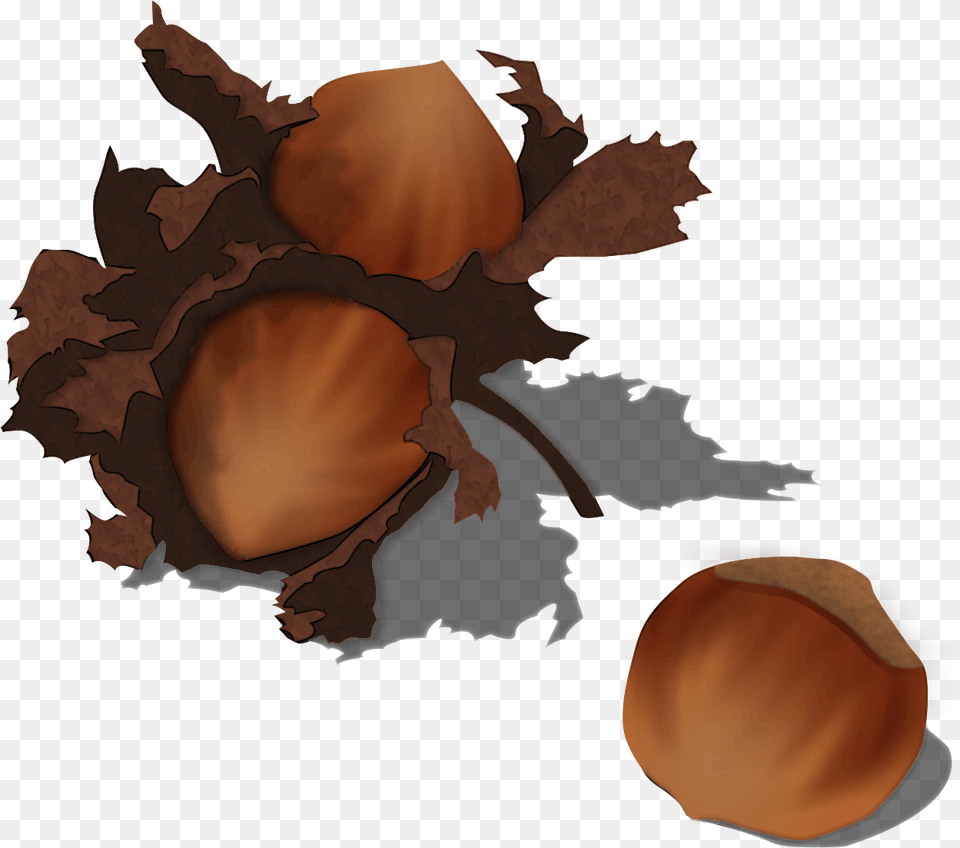 File Hazelnut Acorn, Vegetable, Food, Nut, Produce Free Transparent Png