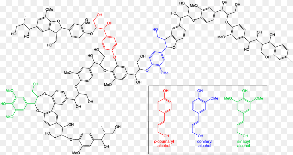 File Lignin Chemical Structure Of Pine Wood Free Png Download