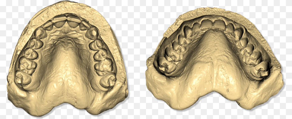 File Maestro3d Easy Dental Scan Taget Object, Animal, Seashell, Seafood, Sea Life Png