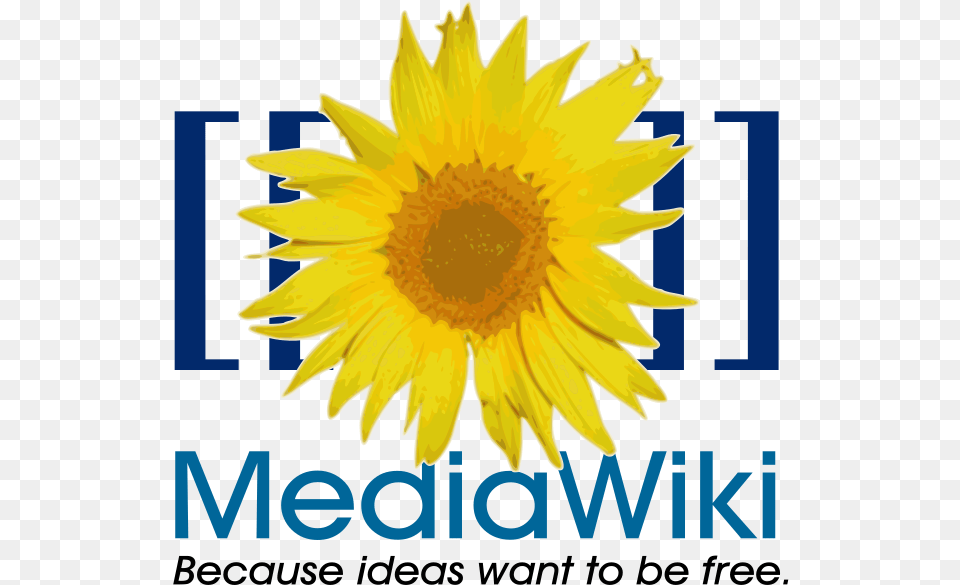 File Mediawiki Svg Mediawiki Svg, Flower, Plant, Sunflower Png