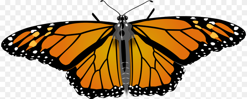 File Monarch Butterfly Svg Monarch Butterfly Copyright, Animal, Insect, Invertebrate, Person Png