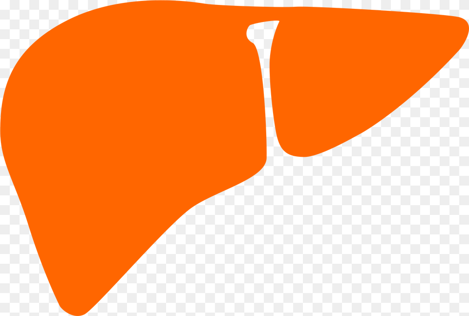 File Noun Cc Orange Wikimedia Commons Open Orange Liver, Animal, Beak, Bird, Guitar Free Png