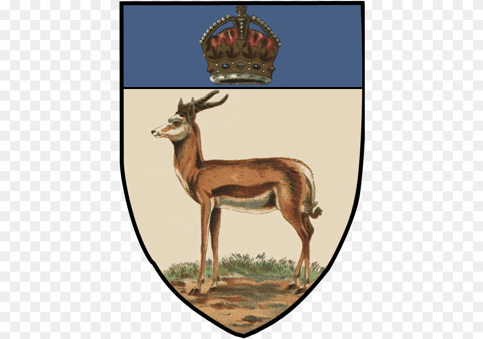 File Orangerivercolonyarms Orange River Colony Coat Of Arms, Animal, Antelope, Mammal, Wildlife Free Transparent Png