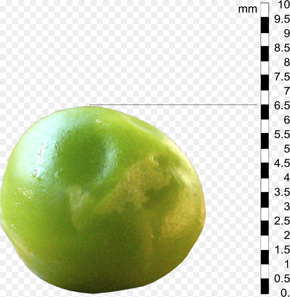 File Pea01 Edit Pea, Food, Fruit, Plant, Produce Free Png Download