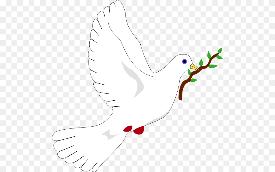 File Peace Dove Svg Wikipedia The Encyclopedia Peace Dove, Animal, Bird, Pigeon, Person Free Png Download