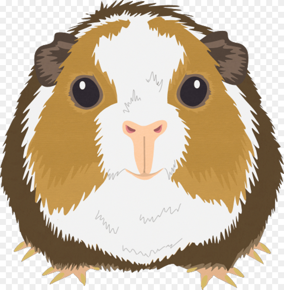 File Pets Stripe Portable Network Graphics, Animal, Mammal, Baby, Person Free Transparent Png