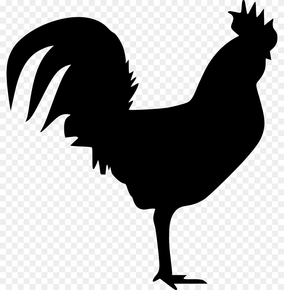File Rooster, Silhouette, Animal, Bird, Chicken Png