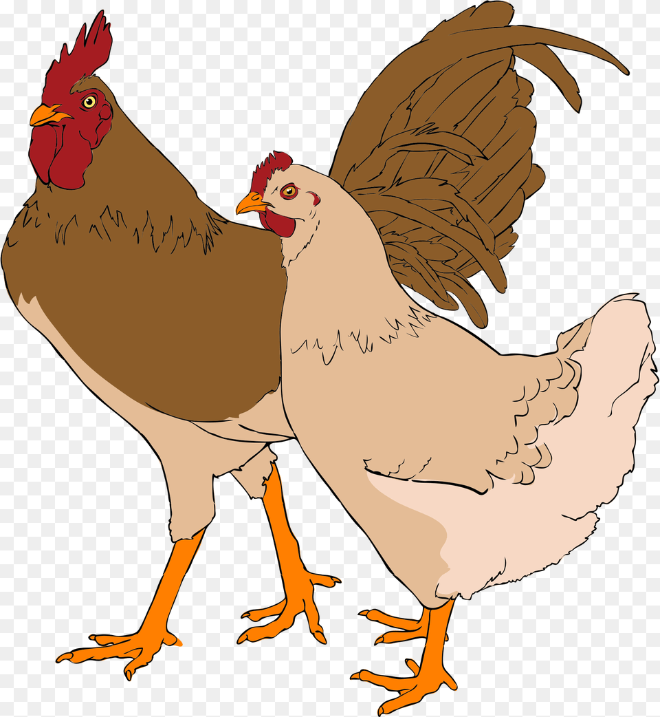 File Rooster And Svg Wikimedia Commons Open Chicken And Rooster Clipart, Animal, Bird, Fowl, Hen Free Transparent Png