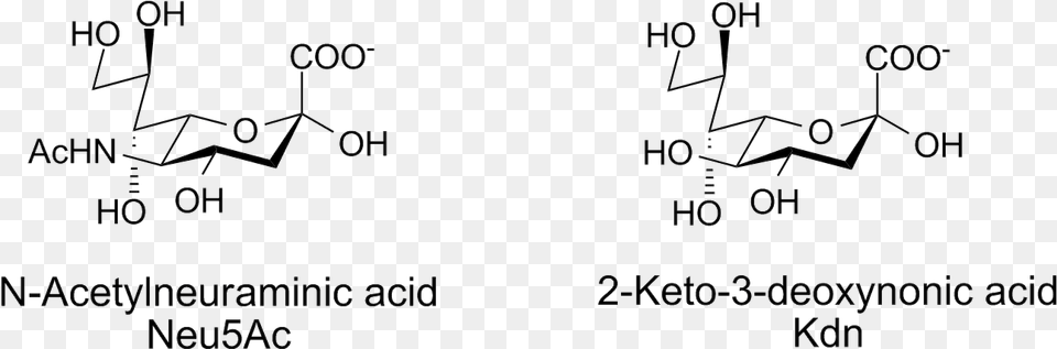 File Sialic Acids 1 Sialic Acid, Text Free Transparent Png