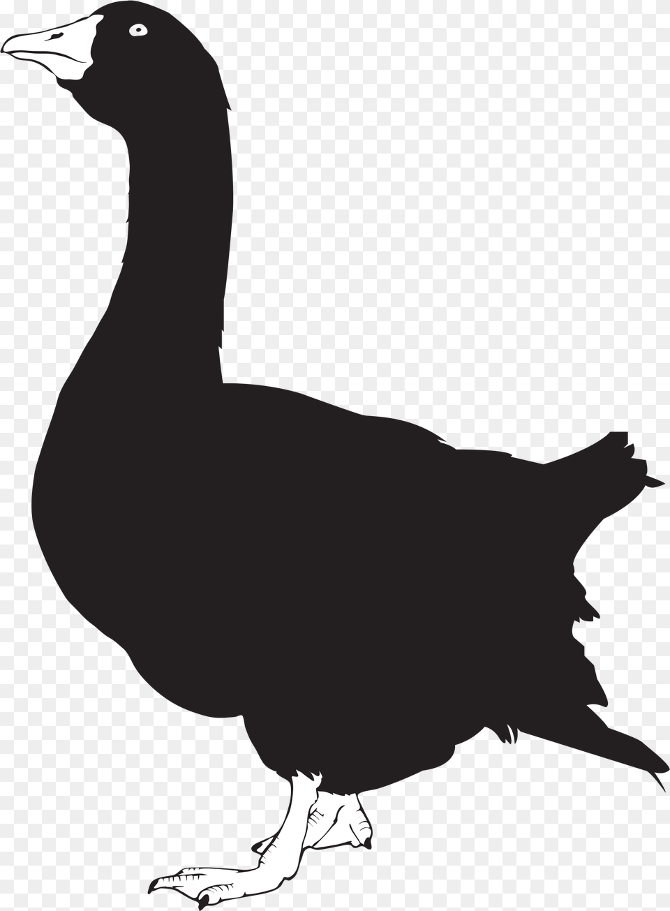 File Silhouette Wikimedia Commons Open Goose Silhouette Shower Curtain, Animal, Bird, Waterfowl, Penguin Free Png