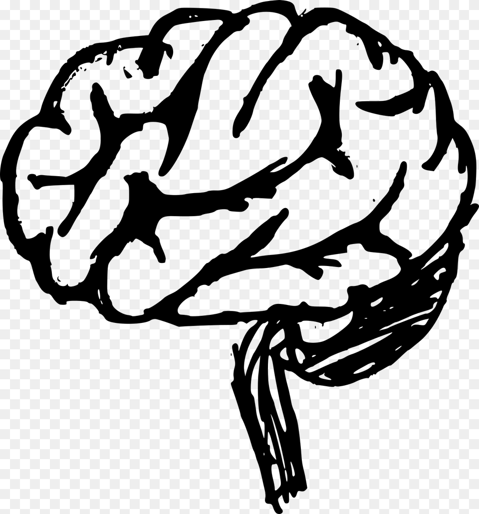 File Size Brain Drawing, Gray Free Png