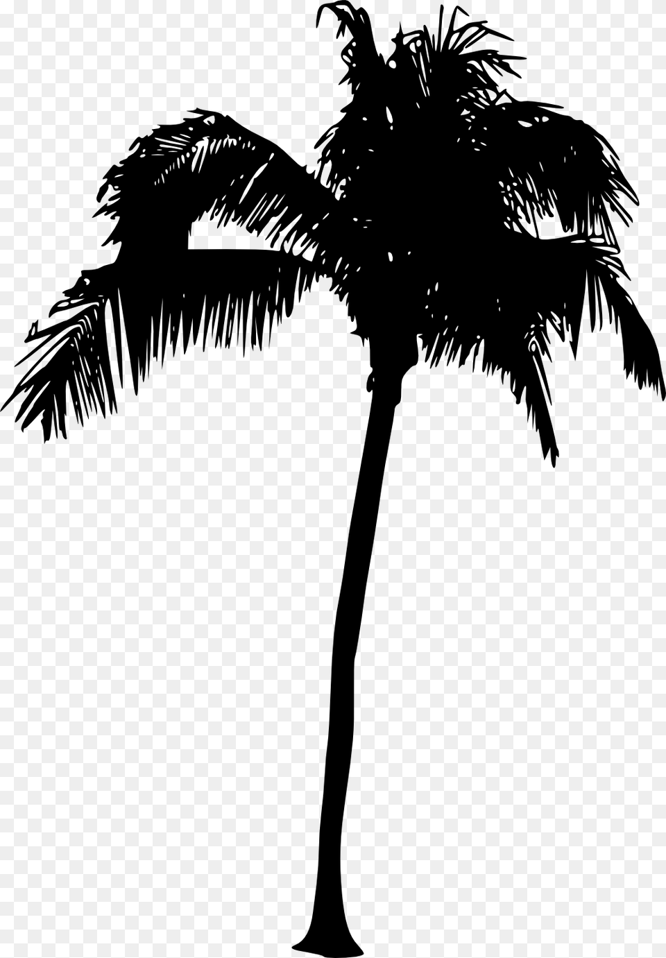 File Size Palm Tree Silhouette, Palm Tree, Plant, Person Free Transparent Png