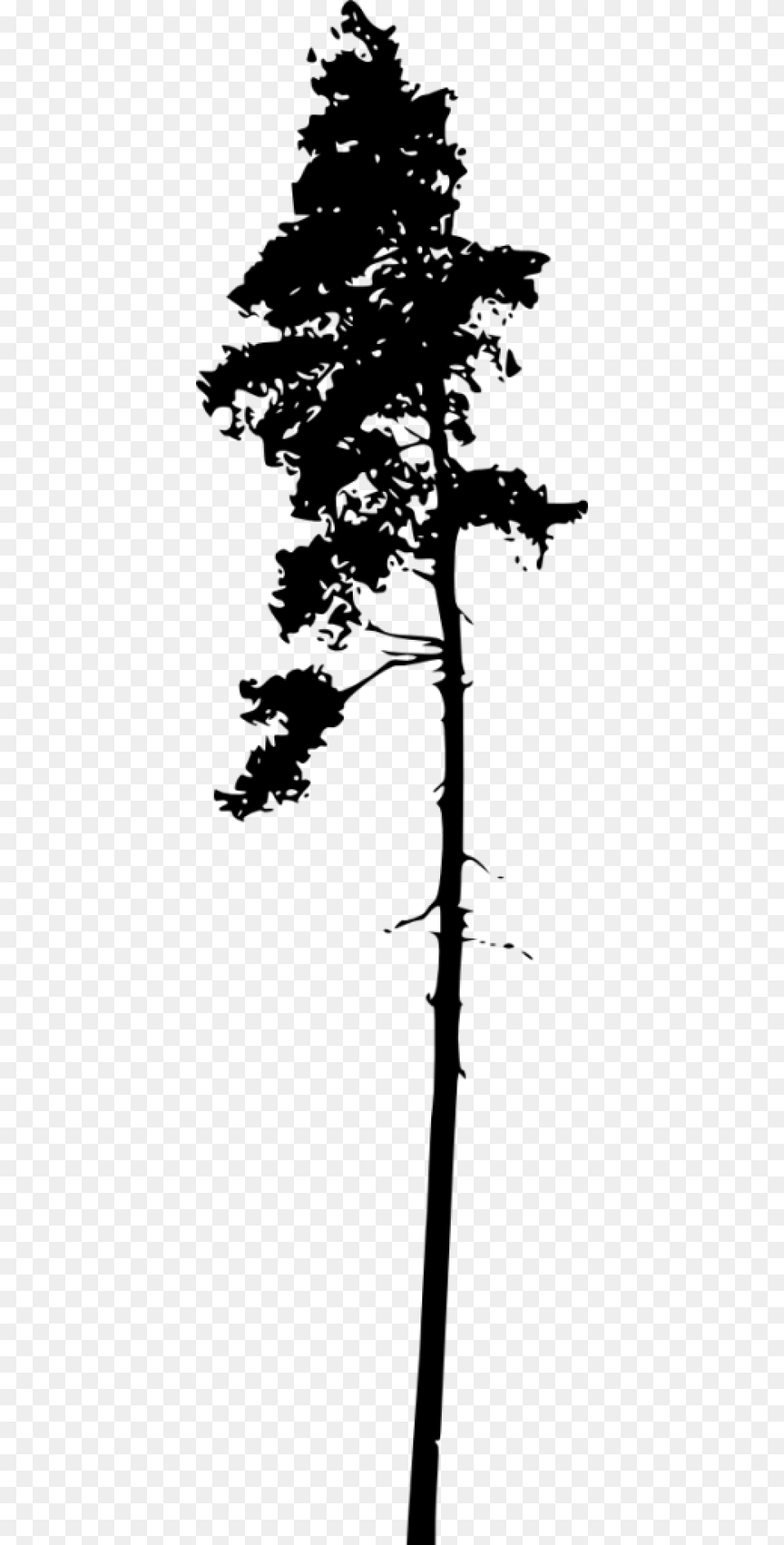 File Size Portable Network Graphics, Plant, Silhouette, Tree, Tree Trunk Png