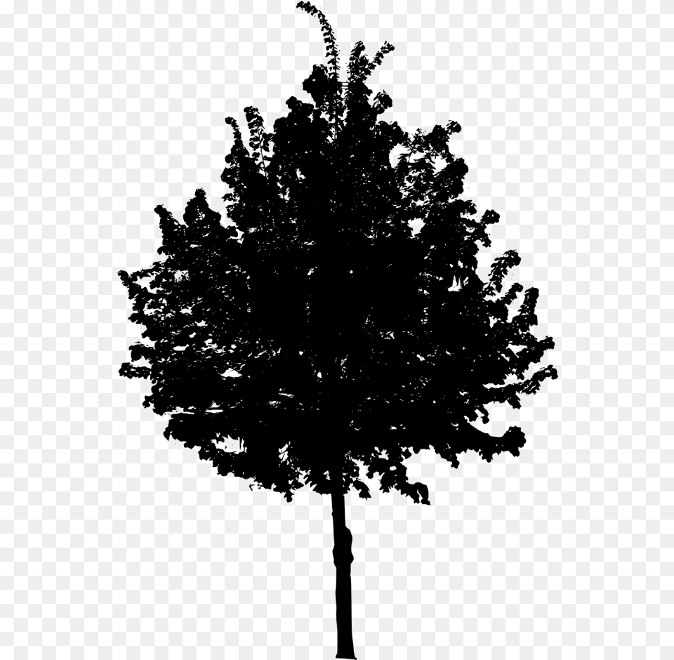 File Size Tree Black And White, Gray Png