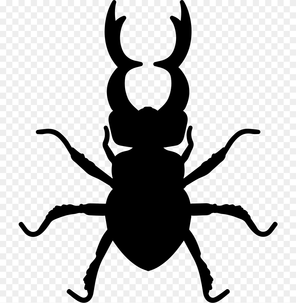 File Stag Beetle Icon, Silhouette, Stencil, Animal, Kangaroo Free Png Download