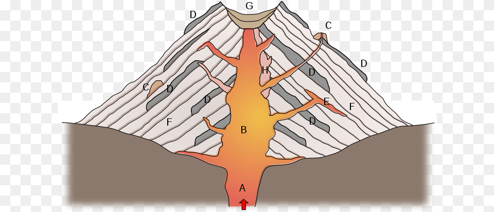 File Stratovolcano Cross Section Svg, Adult, Male, Man, Person Free Png