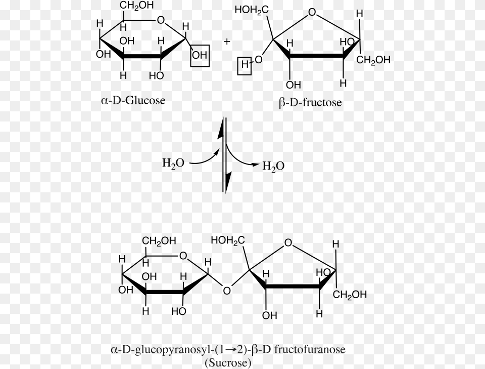 File Sucrose Condensation Svg, Text Free Transparent Png