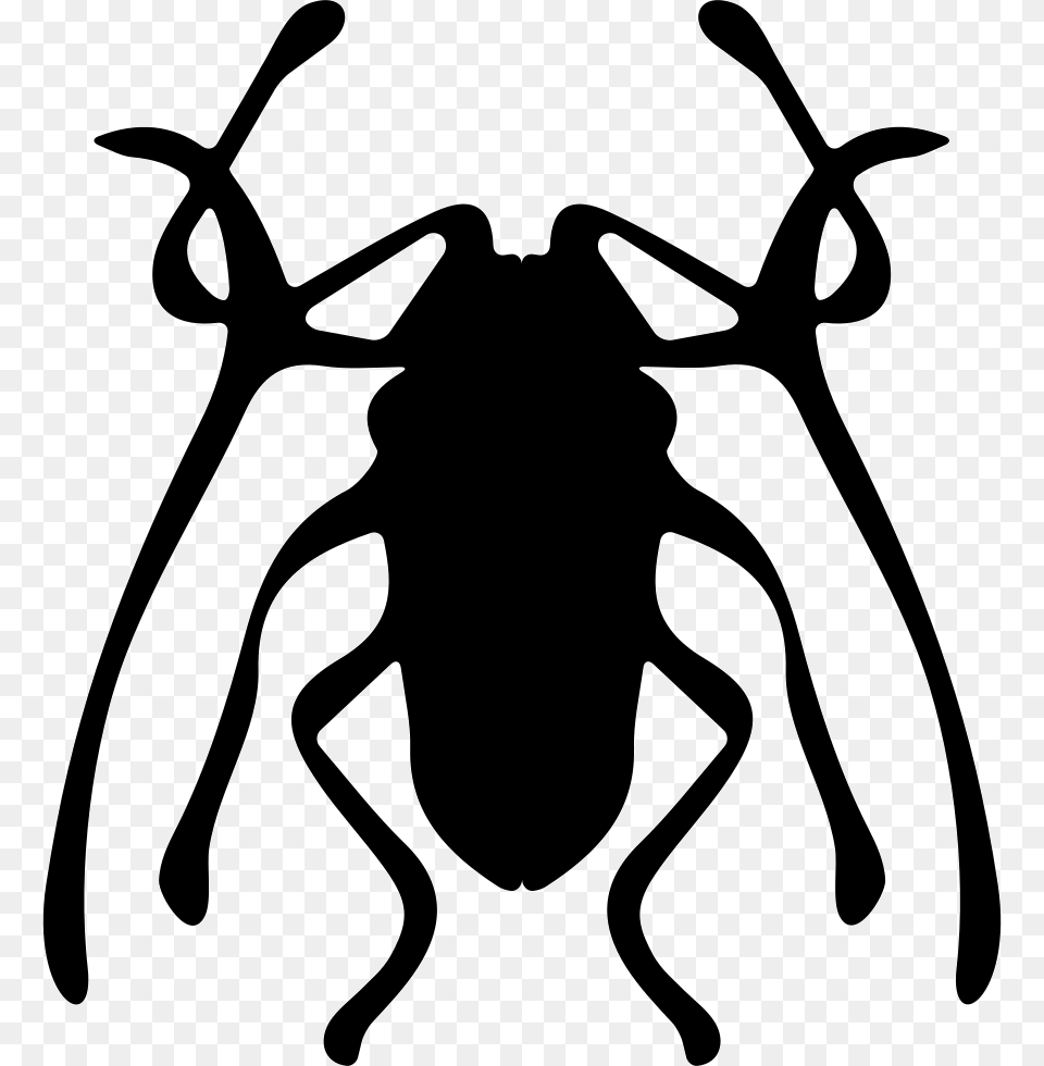 File Svg Weevil, Silhouette, Stencil, Animal, Bee Png