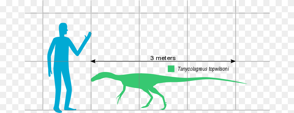 File Tanycolagreus Scale Svg Lesothosaurus, Adult, Male, Man, Person Png Image