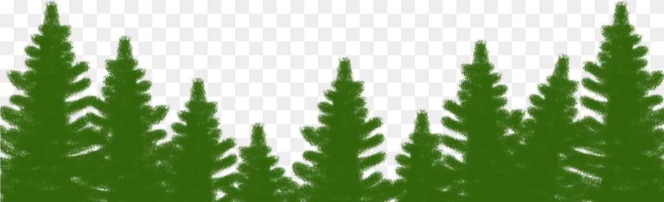 File Trees1 1080 By 1920, Green, Plant, Tree, Conifer Free Png