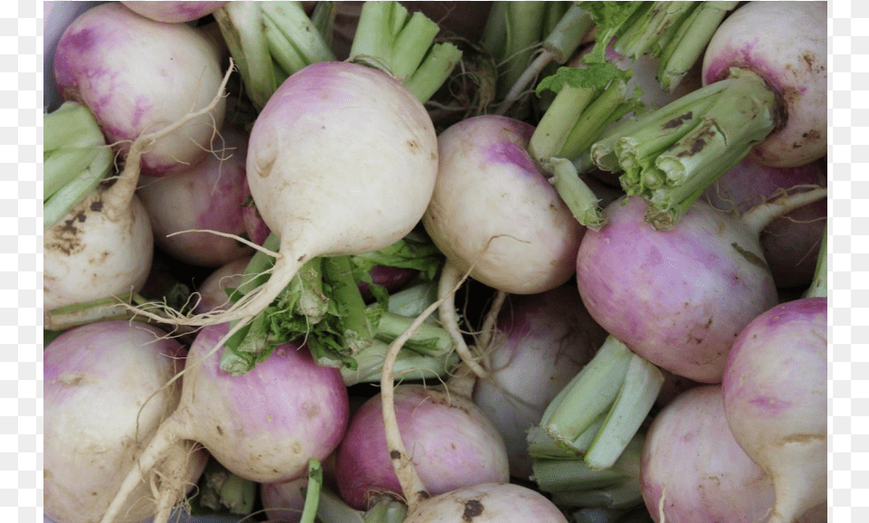 File Turnip Jpeg, Food, Produce, Plant, Vegetable Png Image