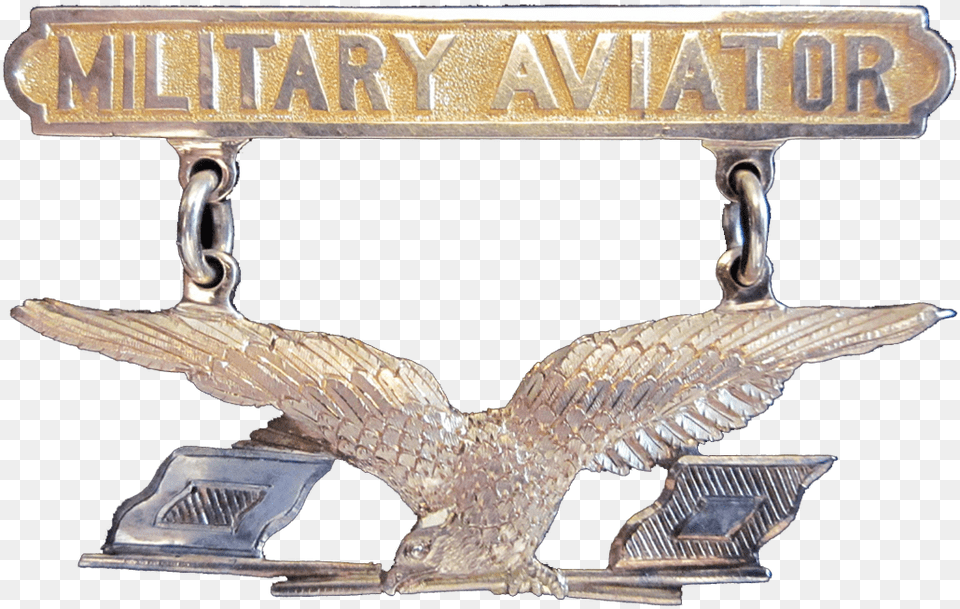 File Usa Aviator Wings 1913 Aviation Section Us Signal Corps, Bronze, Accessories, Emblem, Symbol Free Png