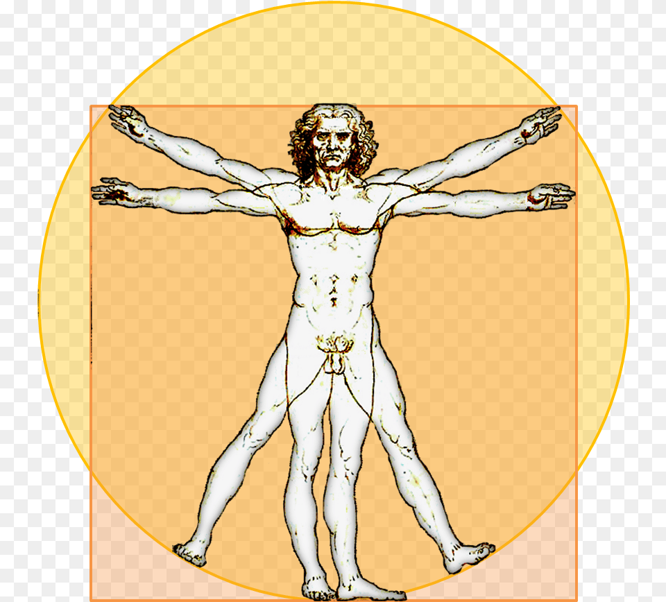 File Vitruvian Icon Leonardo Da Vinci T Pose, Cross, Symbol, Person, Face Png