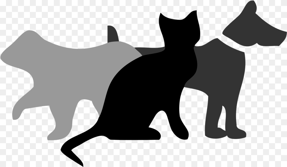 File Wikiproject Warriors Svg Cat, Silhouette, Baby, Person, Accessories Free Png Download