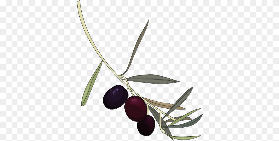 Fileblueberry In Clip Artpng Wikimedia Commons Olive, Food, Fruit, Plant, Produce Free Transparent Png