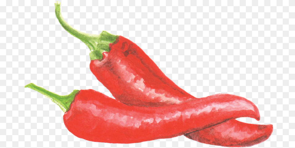 Filecayennepepperpng Wikimedia Commons Chili Pepper Watercolor, Food, Plant, Produce, Vegetable Png