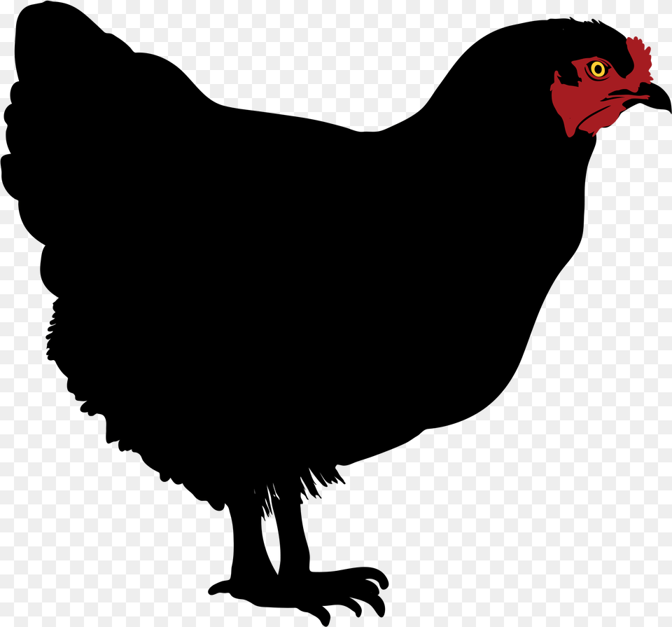 Filechicken Silhouette My Brother39s Peculiar Chicken Comics, Animal, Bird, Fowl, Poultry Free Png Download