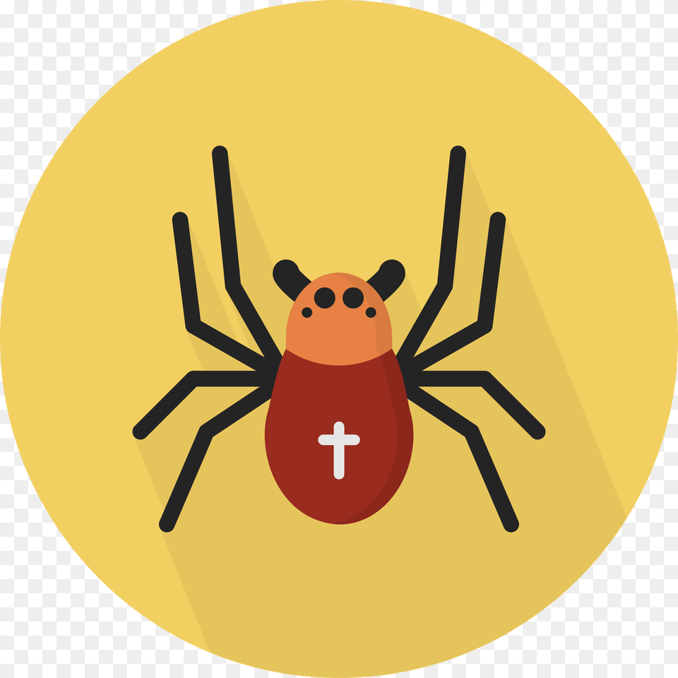 Filecreative Tailanimalspidersvg Wikimedia Commons Icon, Animal, Invertebrate, Spider Free Transparent Png