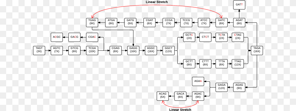 Filedna Flow Chart Wikimedia Commons Dna Profiling Wikimedia Commons, Scoreboard, Text Png Image