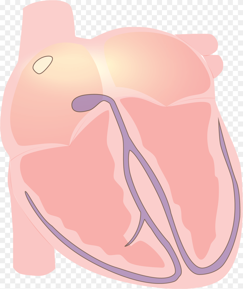 Fileheart Vector Electrical P Wavepng Wikimedia Commons Heart, Saddle, Smoke Pipe Png Image