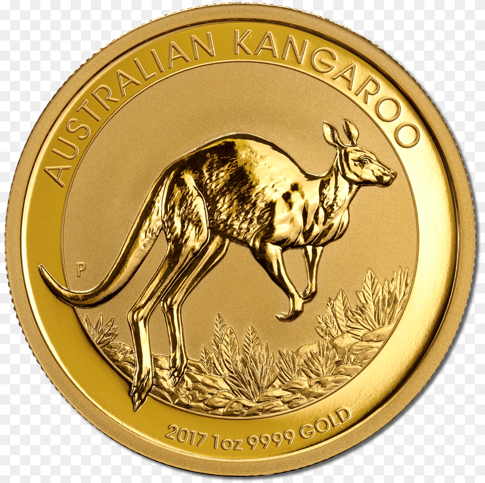 Filekangaroo Gold Coin 2017 Reversepng Wikimedia Commons Austalian Gold Coin, Animal, Antelope, Mammal, Wildlife Png Image