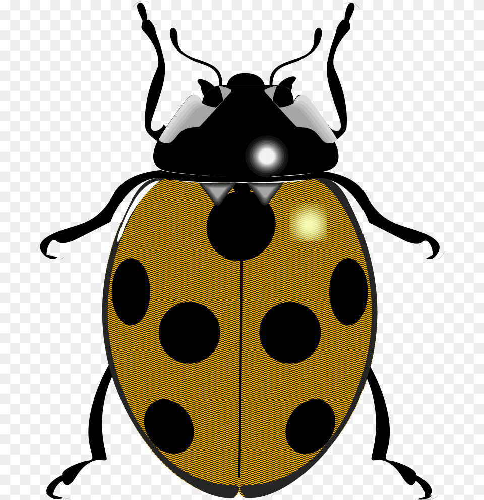 Fileladybugsvg Wikimedia Commons Black And White Ladybird, Animal Free Png