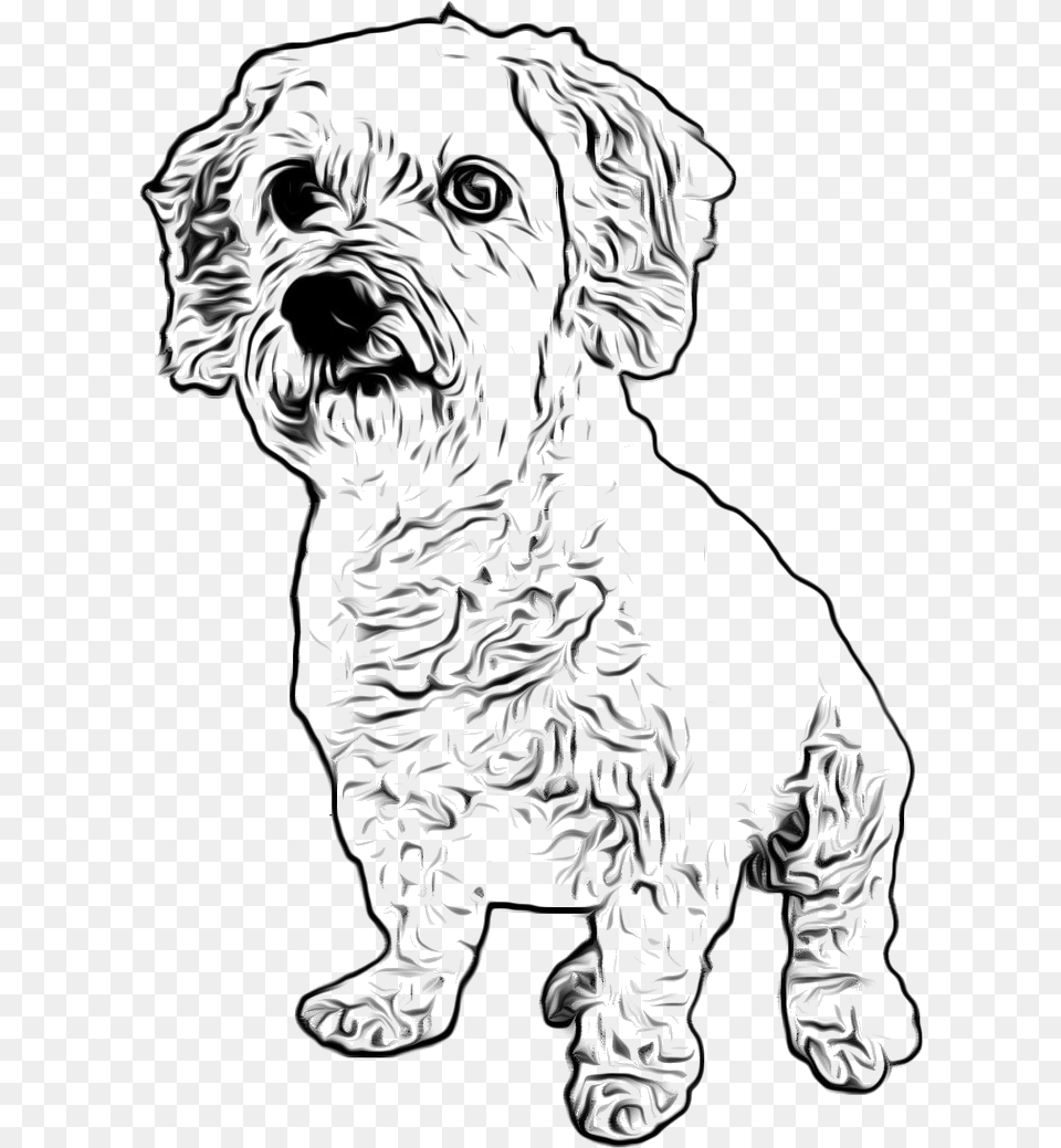 Filelittle White Dog Transparent Dog Drawing, Art, Person, Stencil, Animal Free Png Download