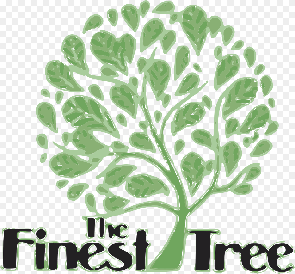 Filelogo 3 The Finest Treesvg Wikimedia Commons Am Wedding, Herbal, Herbs, Plant, Green Png