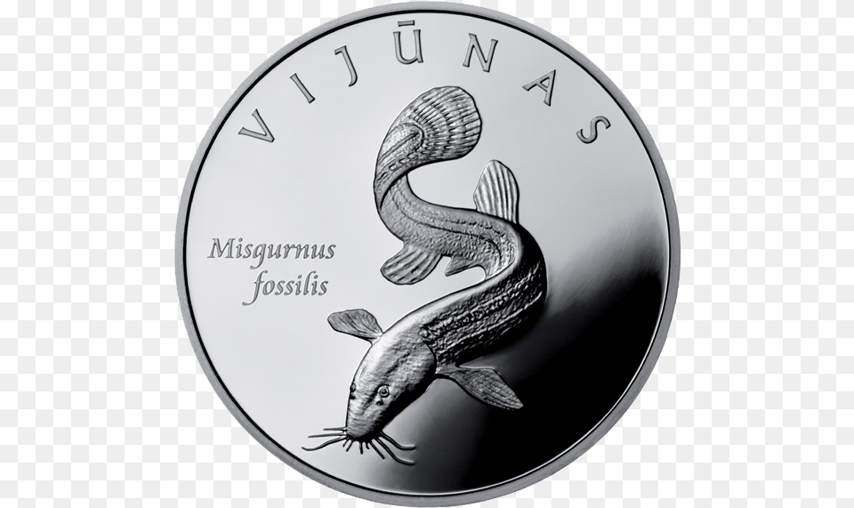 Filelt Wikipedia Catfish, Coin, Money Free Png Download