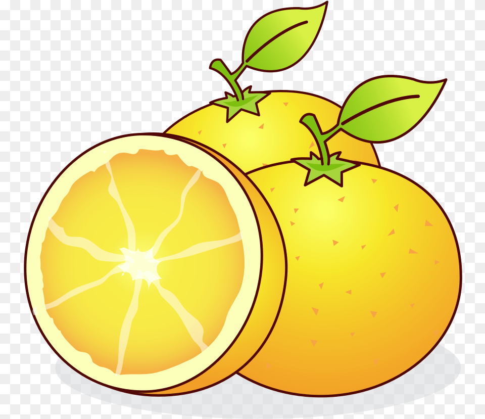 Fileoranges Wikimedia Commons Historia As Tres Laranjas Magicas, Citrus Fruit, Food, Fruit, Grapefruit Free Png