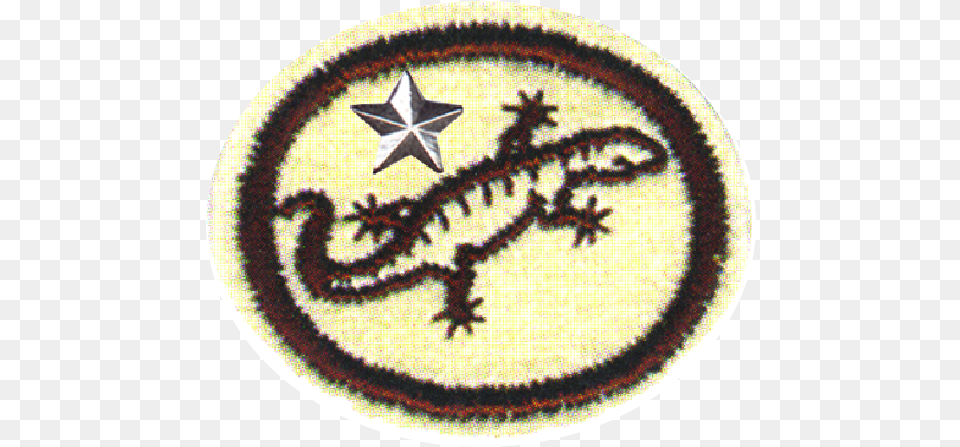 Filereptiles Advancedpng Pathfinder Wiki Emblem, Home Decor, Rug, Symbol, Star Symbol Png