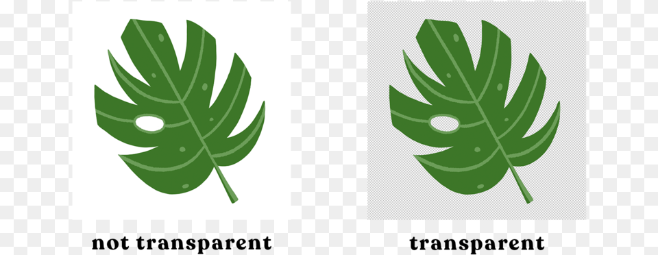 Files Are Transparent When There Isnt A Background Illustration, Leaf, Plant, Green Free Png Download
