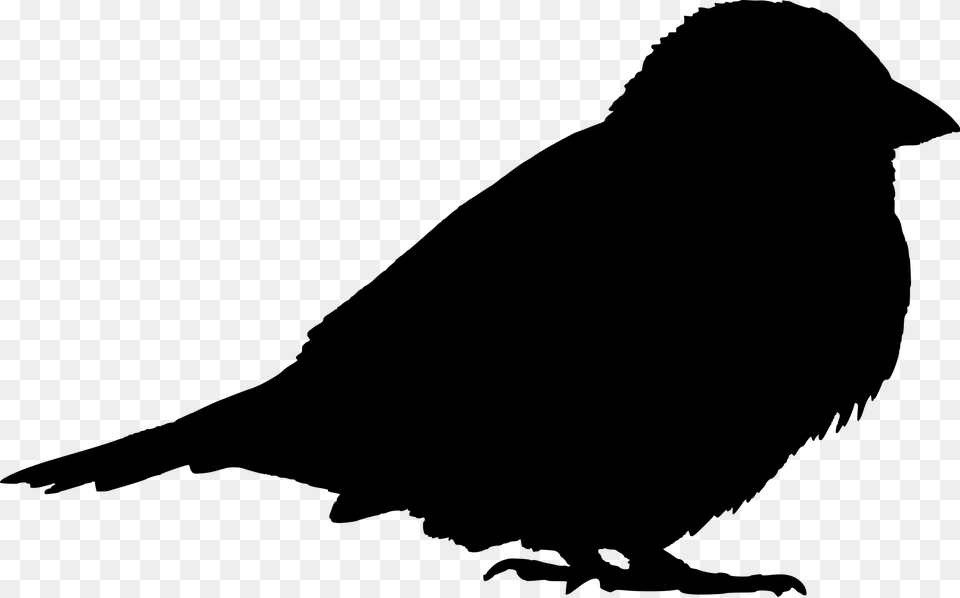 Filesparrow Silhouette Sparrow Silhouette, Gray Free Png Download