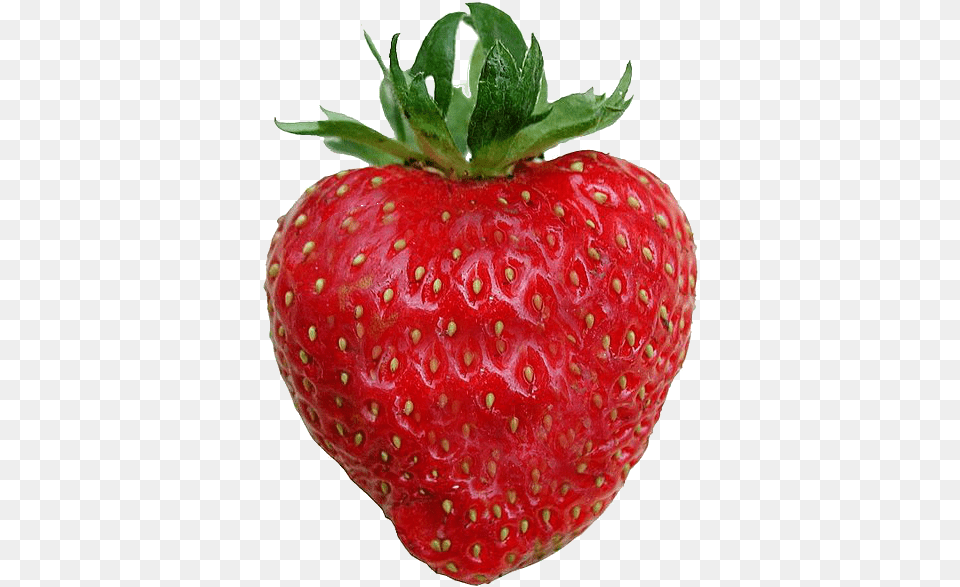 Filestrawberry Backgroundpng Wikimedia Commons Love You Berry Much, Food, Fruit, Plant, Produce Free Transparent Png