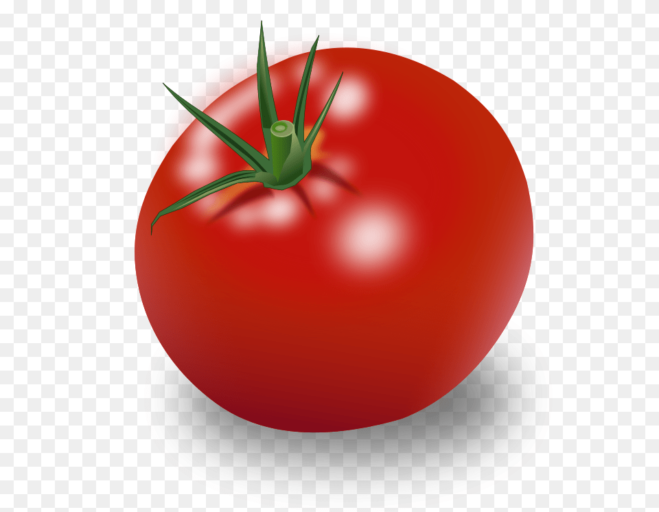 Filetomatopng Wikimedia Commons Tomato, Food, Plant, Produce, Vegetable Png