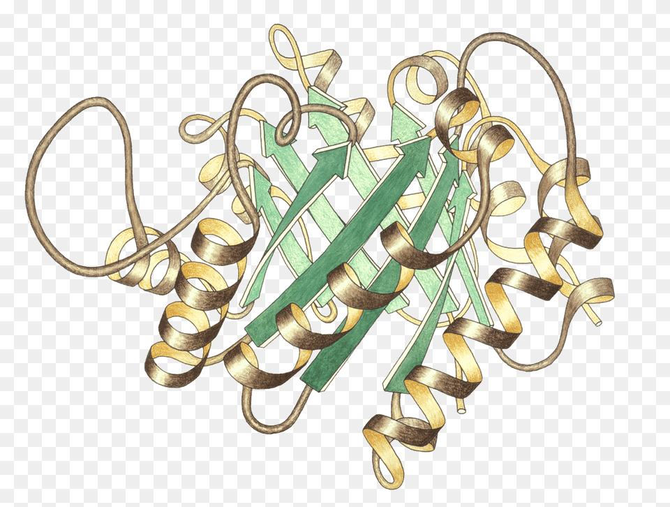 Filetriosephosphateisomerase Ribbon Pastel Transpng Triose Phosphate Isomerase, Chandelier, Lamp, Accessories Free Png