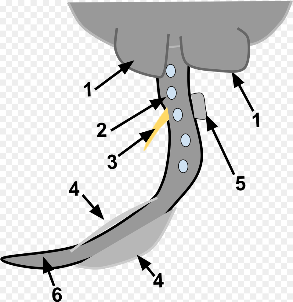 Filewikipedia Project Anatomy Of Stingray Tailsvg Stingray Anatomy, Cutlery, Electronics, Hardware, Animal Free Transparent Png