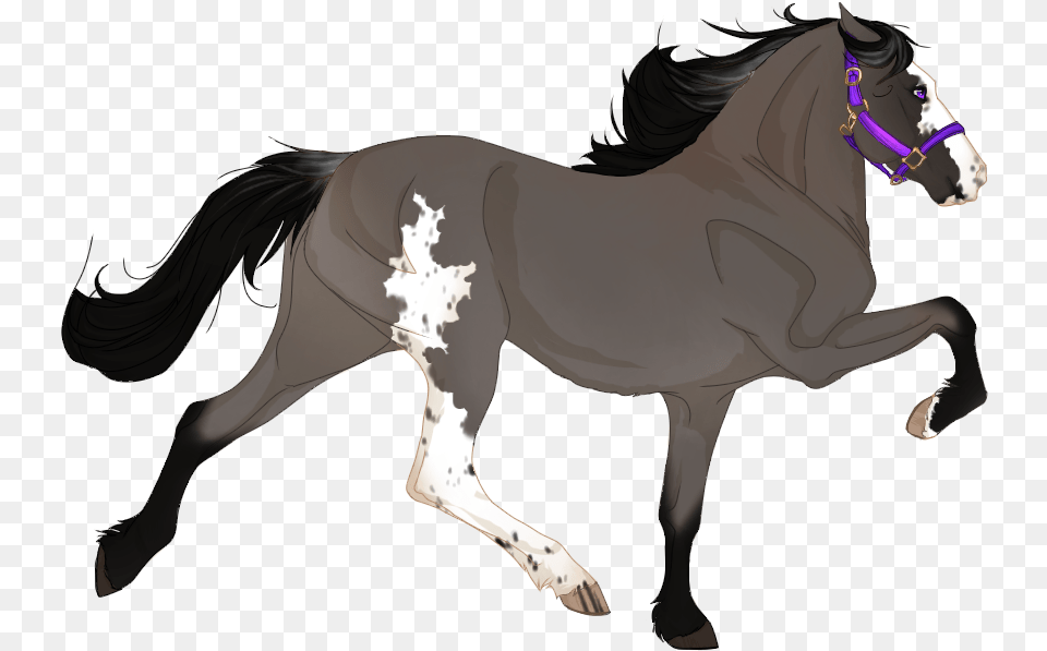 Filigree Gulastra Plume Black Horse, Animal, Mammal, Colt Horse, Stallion Png Image