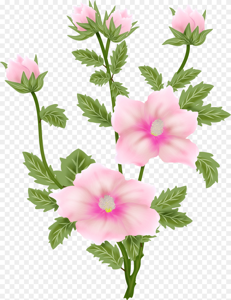 Filing Painting Flowers Painting Art Paintings Tree Mallow, Flower, Geranium, Plant, Anemone Free Transparent Png