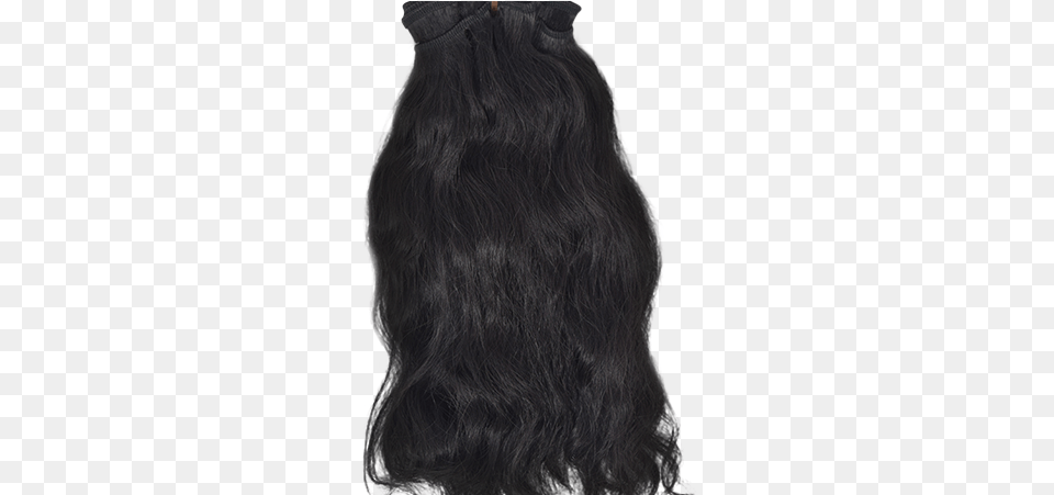 Filipino Coarse Wavy Lace Wig, Hair, Person, Black Hair Free Transparent Png